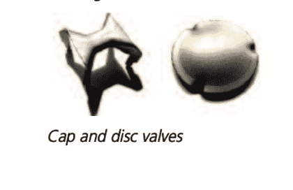 Cap and disc valves staffordshire